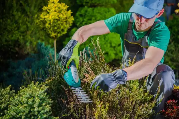 landscaping services Manhattan